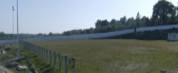 campo1